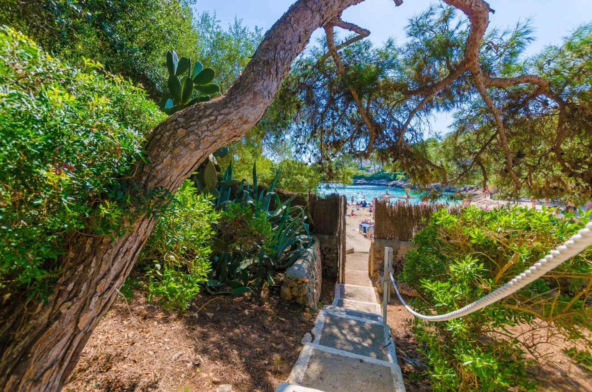 Cala Dor 14